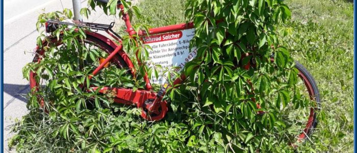 Fahrrad kaufen in Augsburg