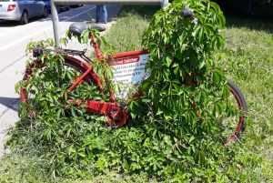 Fahrrad Salcher Augsburg ist der Beste